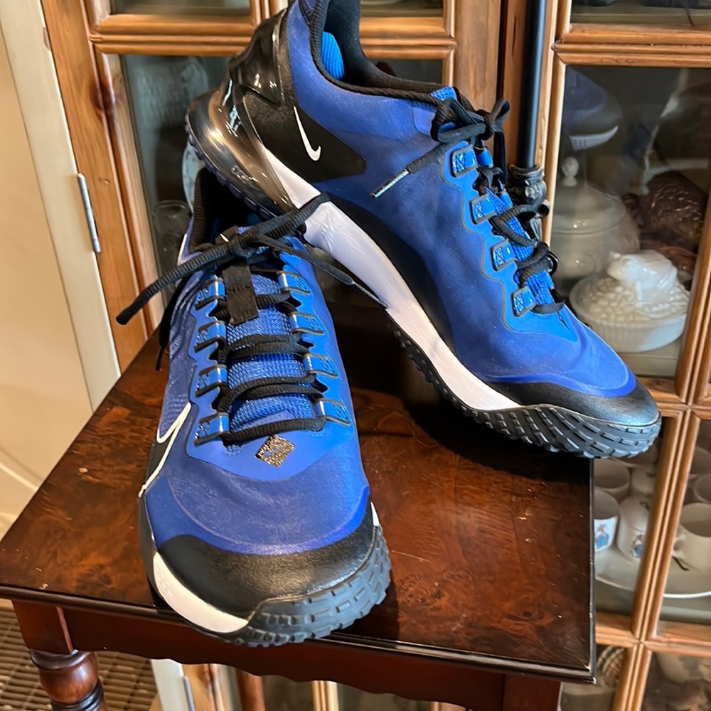Nike BSBL Zoom basketball shoes
